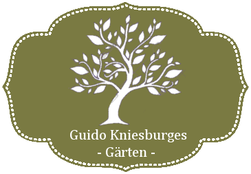 Guido Kniesburges